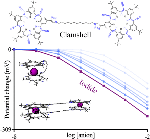Anion-selective electrode based on a CH-hydrogen bonding bis-macrocyclic ionophore with a clamshell architecture